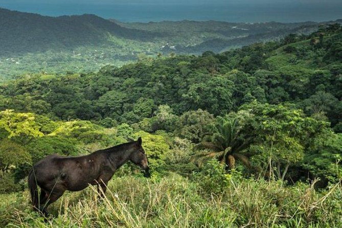 Horses to the Sacred Ancestral Stone Mama Duwanaby. - About Your Stay