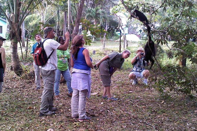 Howler Monkey Sanctuary and Belize City Tour - Good To Know