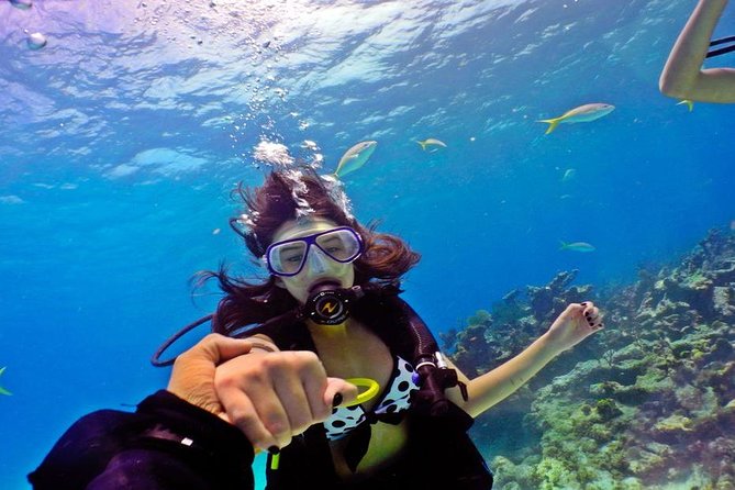 Hurghada: 6-Hour Dive Trip With Two Dive Sites - Key Points
