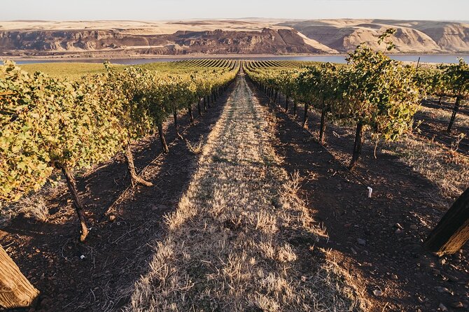 Hurray for Hollywood Winery Pass Review - Experience Overview