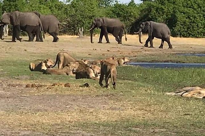 Hwange Day Trip - Key Points