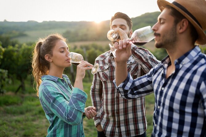 I Came, I Saw, I Drank Wine - the Freiburg Wine Hike - Key Points