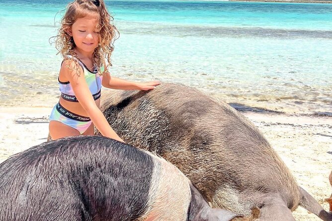 Iguanas , Sharks & Swimming Pigs Exuma Private Tour (8hrs) - Inclusions