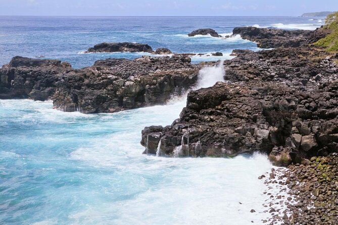 Ile Aux Aigrettes Nature Reserve, Blue Bay Beach, La Vanille Park & Gris Gris - Good To Know