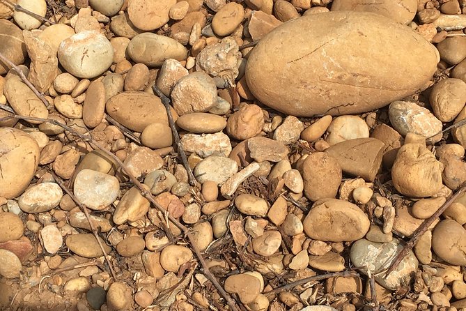 In Depth Chateauneuf-du-Pape - Inclusions and Exclusions