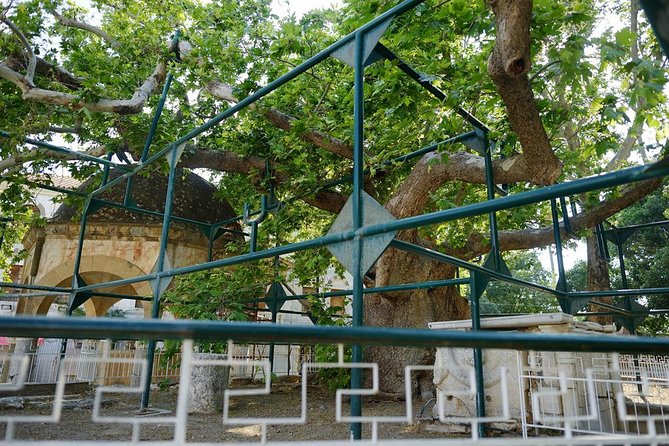 Independent Day Trip to Kos Island From Bodrum With Transfers - Inclusions and Customization