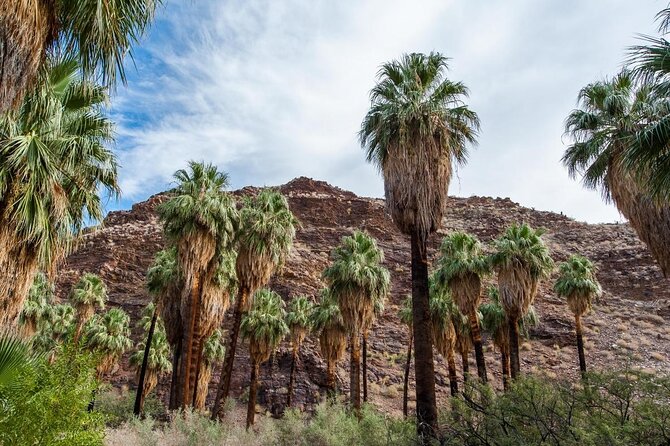 Indian Canyons Hiking Tour by Jeep From Palm Desert - Good To Know