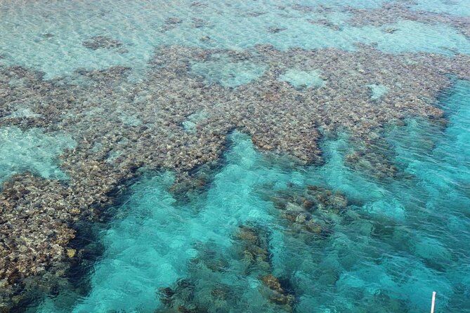 Introductory Dive in Eilat