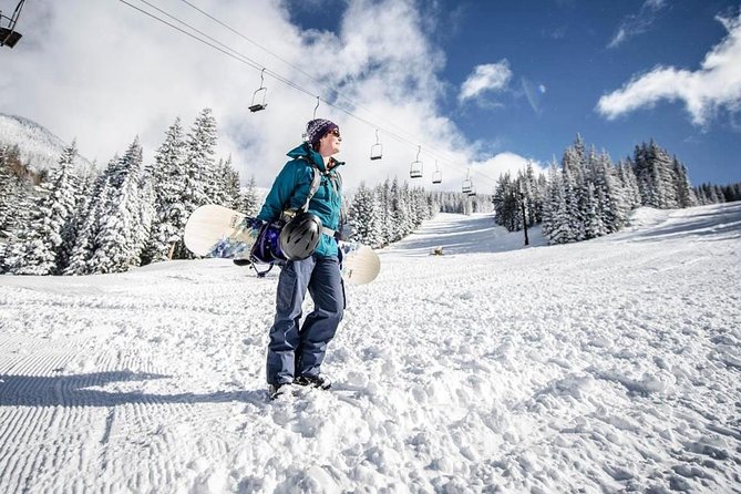Istanbul European Side to Uludag Ski Resort Hotels - Overview of the Transfer Service