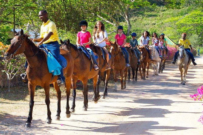 Jamaica Zipline and Horseback Ride N Swim Adventure Tour From Ocho Rios - Tour Overview
