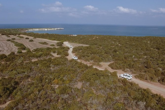Jeep Safari Akamas Expedition From Limassol - Key Points