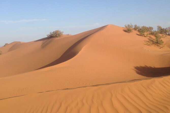 Jeep Tour to Mini Sahara With Lunch Small Group - Good To Know