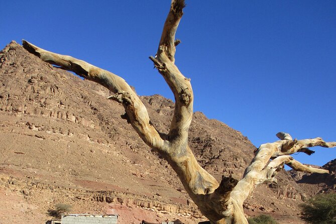 Jeep Tours Through the Sinai Desert - Overview of Jeep Tour