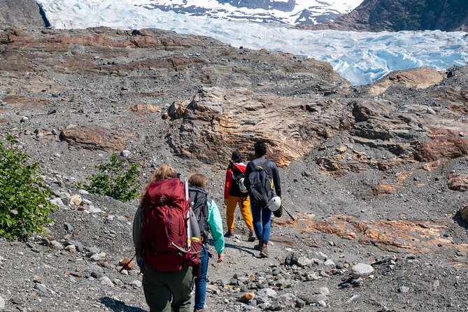 Juneau Shore Excursion: Private Mendenhall Glacier Guided Hike - Good To Know