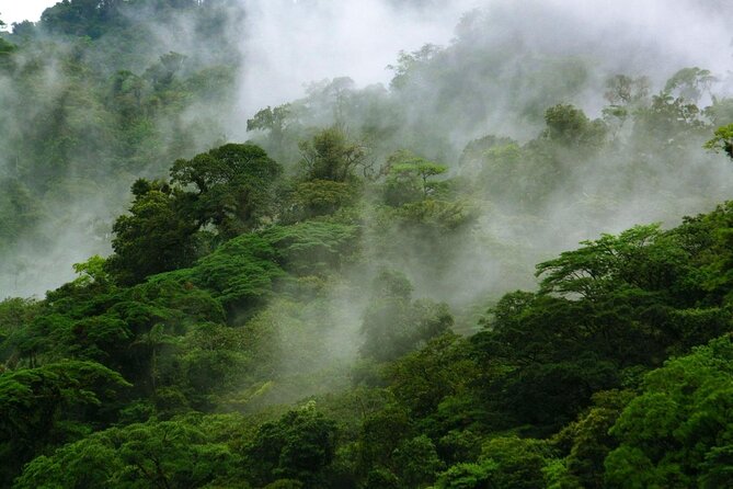 Jungle Expedition Through the Childrens Eternal Rainforest - Good To Know