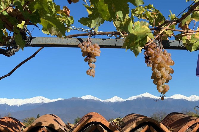 Kakheti Tour - Private Full Day Wine Tour With Lunch and Wine Tasting - Overview of the Wine Tour