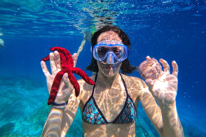 Kamiros Skala: Marine Life Experience - Tour Meeting Point