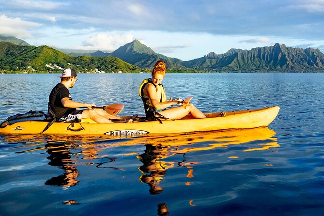 Kaneohe Bay Coral Reef Kayak Tour Review - Tour Overview