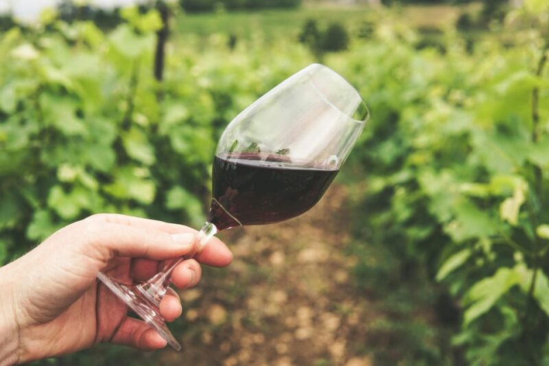 Kavala: Wine Tour - Good To Know