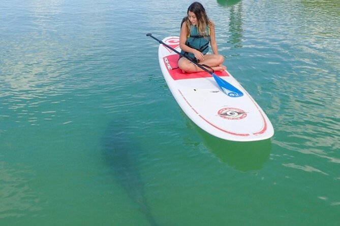 Kayak and SUP Rentals - Big Hickory Island - Fort Myers Beach, FL - Good To Know