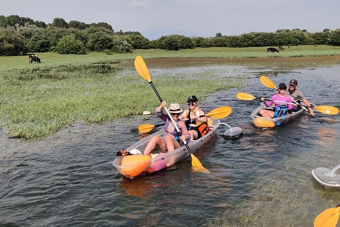 Kayak or Stand Up Paddle in Shkodra Lake and Buna River - Good To Know