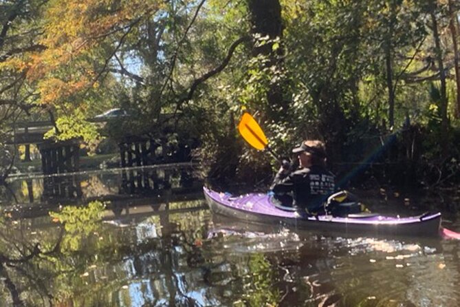 Kayak Tour Of The Honey Island Swamp and Backwaters - Good To Know