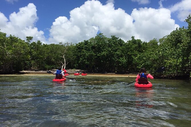 Kayaking Adventure at Savannes Bay - Good To Know