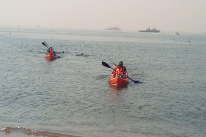 Kayaking and Sandwhich Harbour Dune 4x4 Combo - Key Points