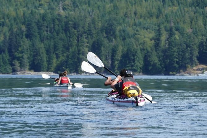 Kayaking With Whales and Wildlife - Tour Overview and Inclusions