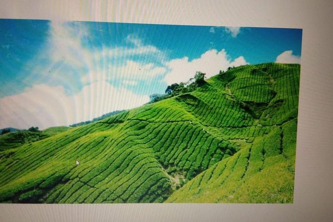 Kerala Honeymoon Package - Good To Know