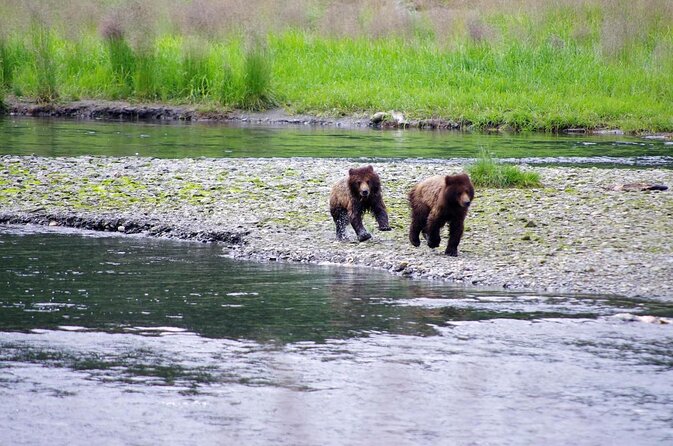 Ketchikan Backcountry Driving Tour Through the Tongass - Good To Know