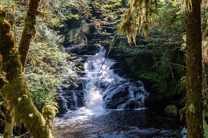 Ketchikan Magical Old-Growth Creek Trek Guided Tour - Good To Know