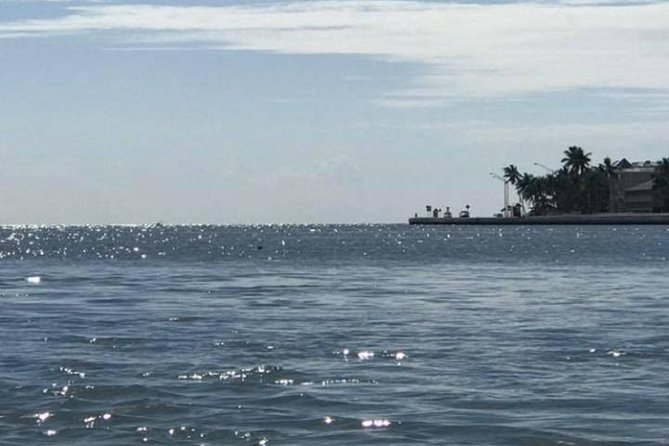 Key West Stand Up Paddleboard Rental - Good To Know