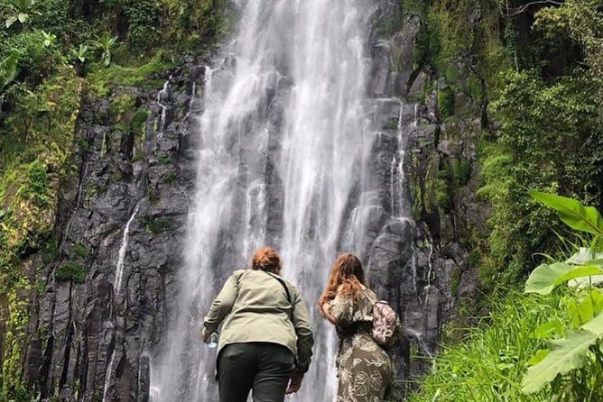 Kilimanjaro Waterfalls Hike & Moshi Hot Springs Day Trip Tour - Good To Know