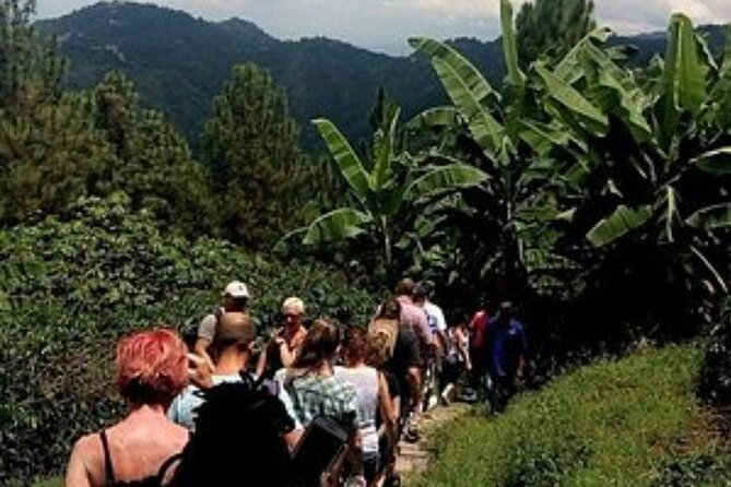 Kingston & Blue Mountain Adventure - Inclusion Details
