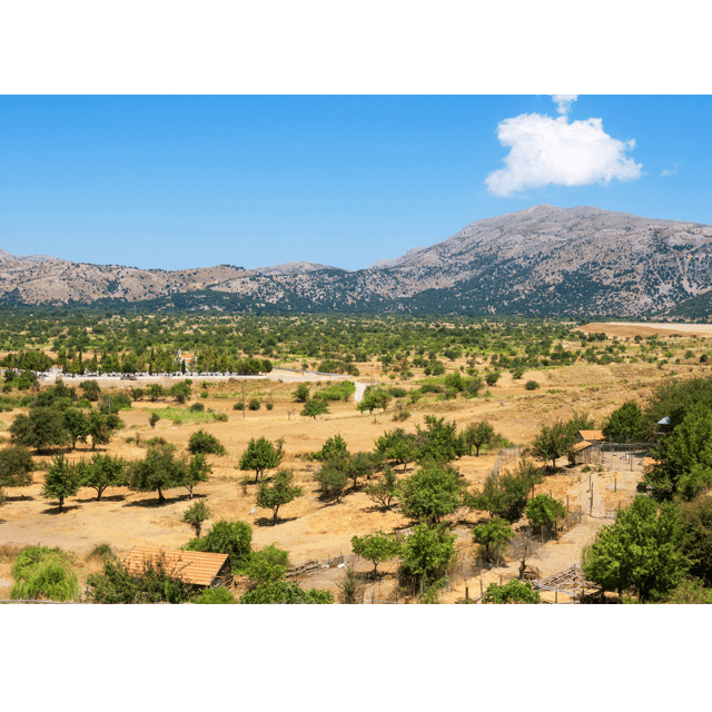Knossos & Lastihi: Knossos Palace & Cave of Zeus Guided Tour - Good To Know
