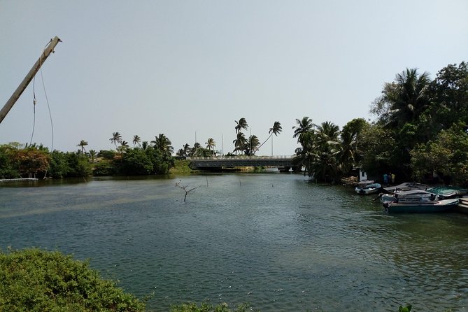 Koggala Lake Boat Tour - Good To Know