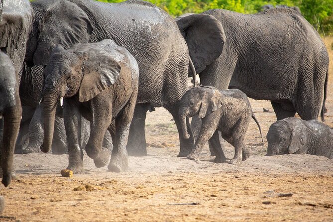Kruger National Park Best Tour - Key Points