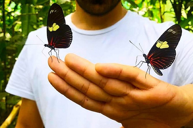 Kukama Community and Pilpintuwasi Butterfly Farm Tour - Good To Know