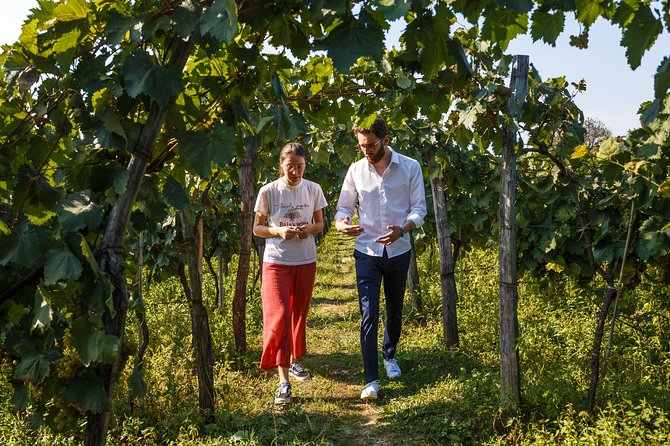 KUTAISI, WINE & DINE - Group Tour From Tbilisi - Key Points