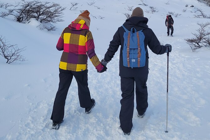 Laguna Esmeralda (Trekking + Lunch at Refuge) - About Your Stay