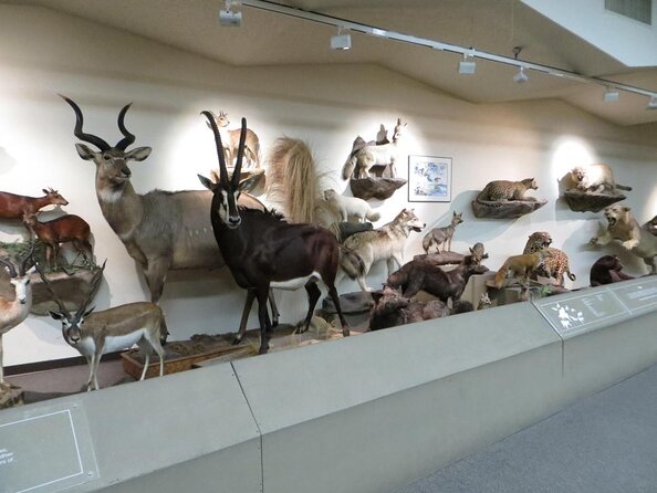 Las Vegas Natural History Museum Admission Ticket - Good To Know