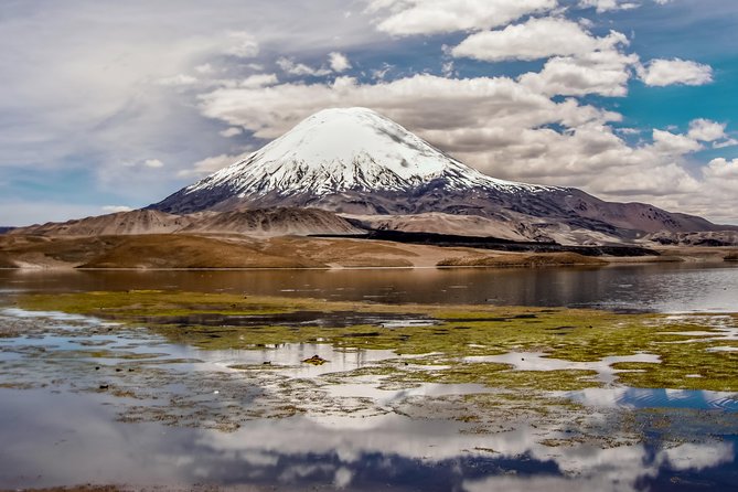 Lauca National Park 2D / 1N Arica - Putre - Lake Chungará - Arica - About Your Stay