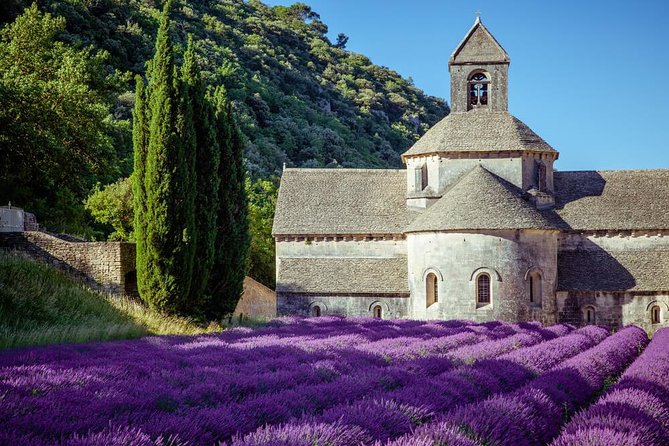 Lavender Beauty Small Group Half Day Tour From Avignon - Good To Know