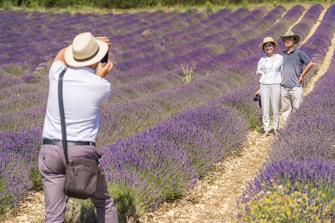 Lavender in Sault Small Group Half-Day Trip - Good To Know