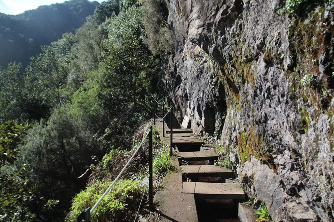 Levada Do Rei - Ribeiro Bonito (Full Day Walk) - Good To Know