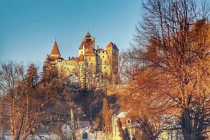 Libearty Brown Bear Sanctuary, Rasnov Fortress, Bran Castle Day Tour From Brasov