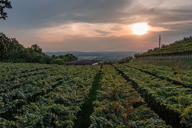 Light Lunch With Blind Tasting - Key Points
