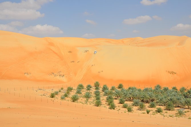 Liwa Full Day Desert Safari (exploring) - Good To Know