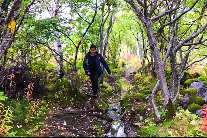 Lofoten Islands Luxury Fishing, Hiking & Beach Tour to Skrova - Good To Know